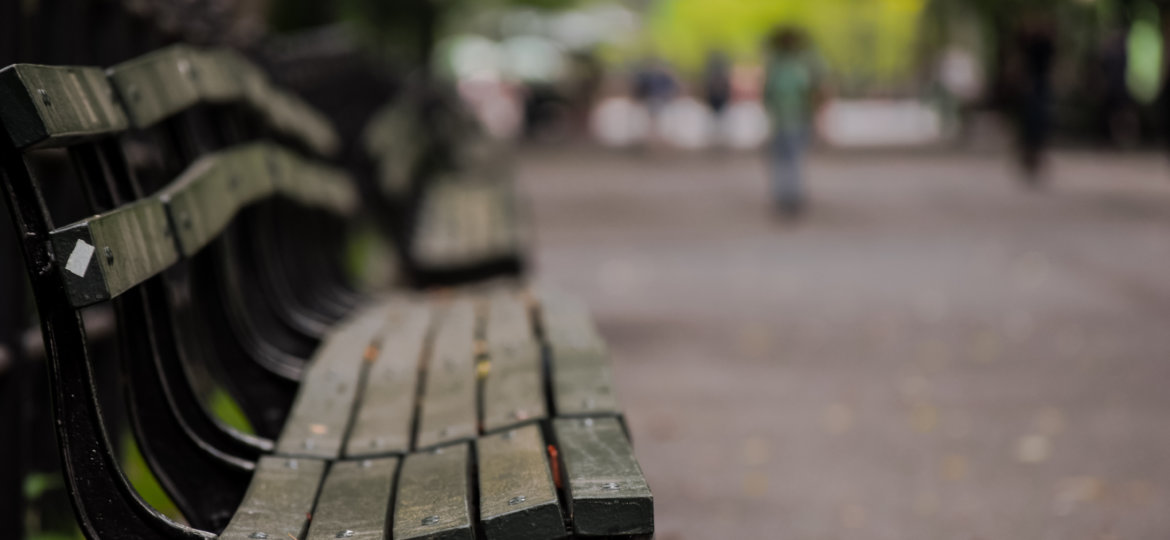 Canva - Selective Focus Photography of Brown Wooden Bench