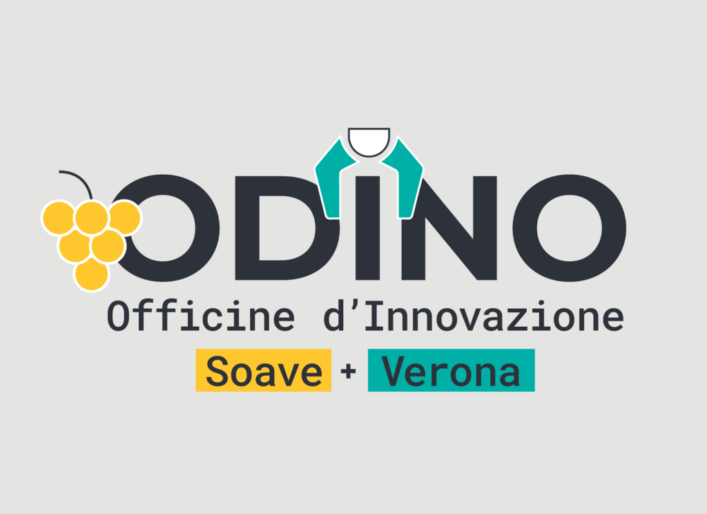 Percorsi formativi gratuiti di eccellenza e di auto-imprenditorialità per giovani dai 16 ai 30 anni del territorio veronese