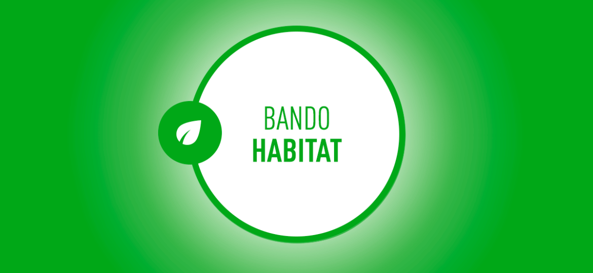 BANDO_HABITAT_web