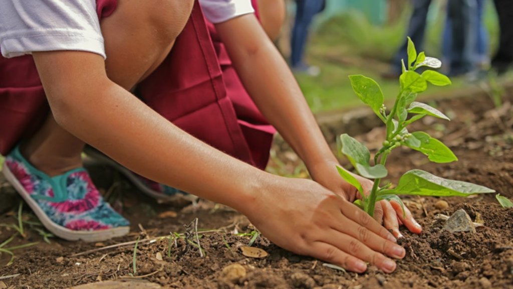 Sostenuti 21 progetti diretti alla sensibilizzazione delle giovani generazioni sui temi della responsabilità ambientale e della sostenibilità