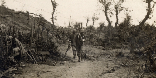 Il progetto per valorizzare i beni documentali dell’Archivio di Stato di Verona sulla Grande Guerra 15-18