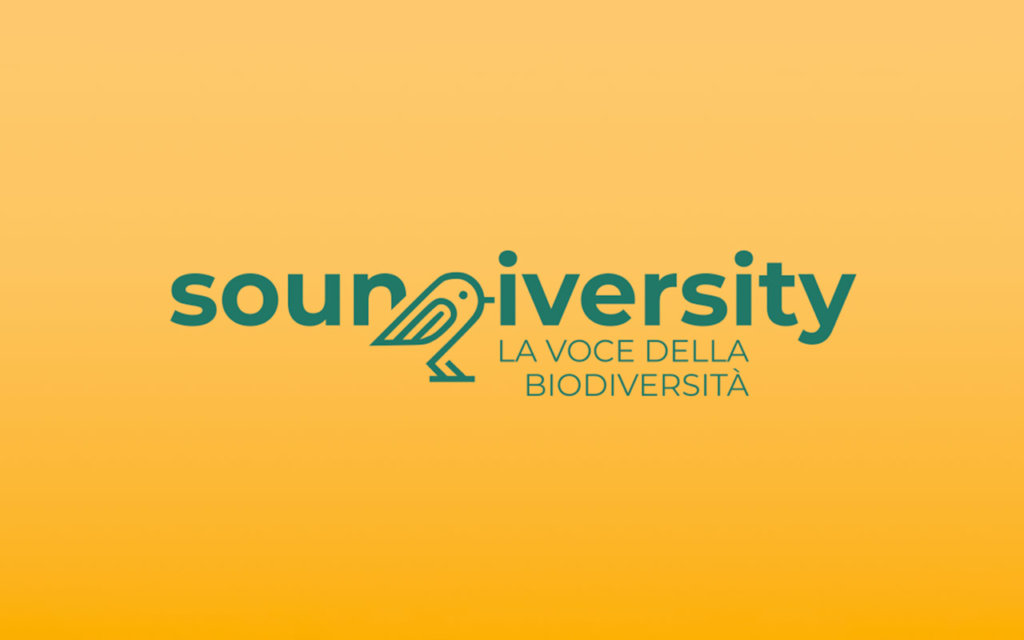 Il nuovo progetto di Biosphaera per sensibilizzare gli studenti e la comunità del territorio veronese sul tema della biodiversità