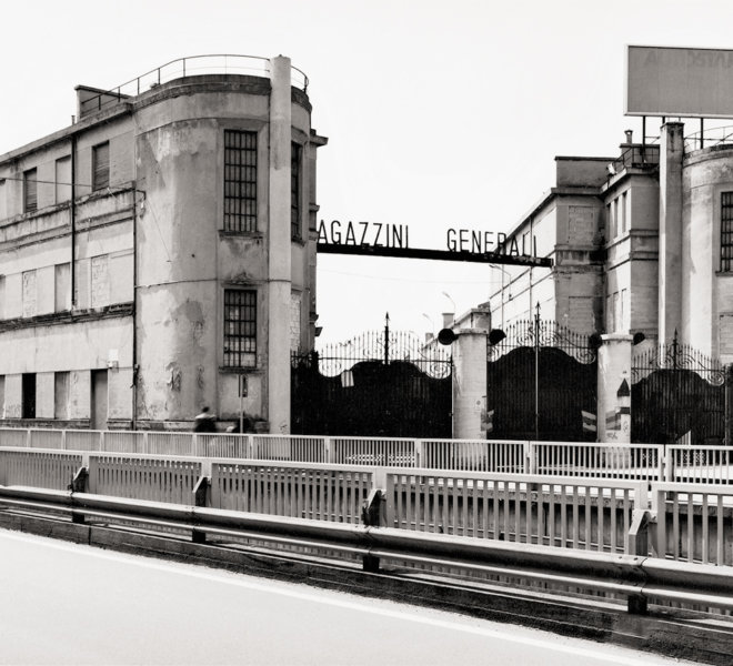 Basilico_D0136B