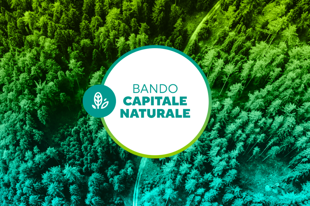 capitale naturale