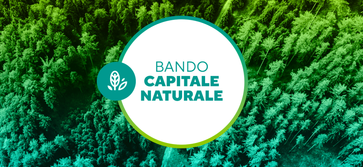 capitale naturale