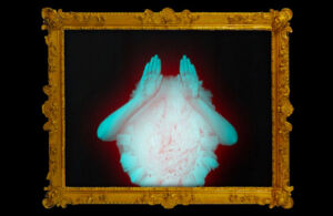 02_barokthegreat_Hybrida_web