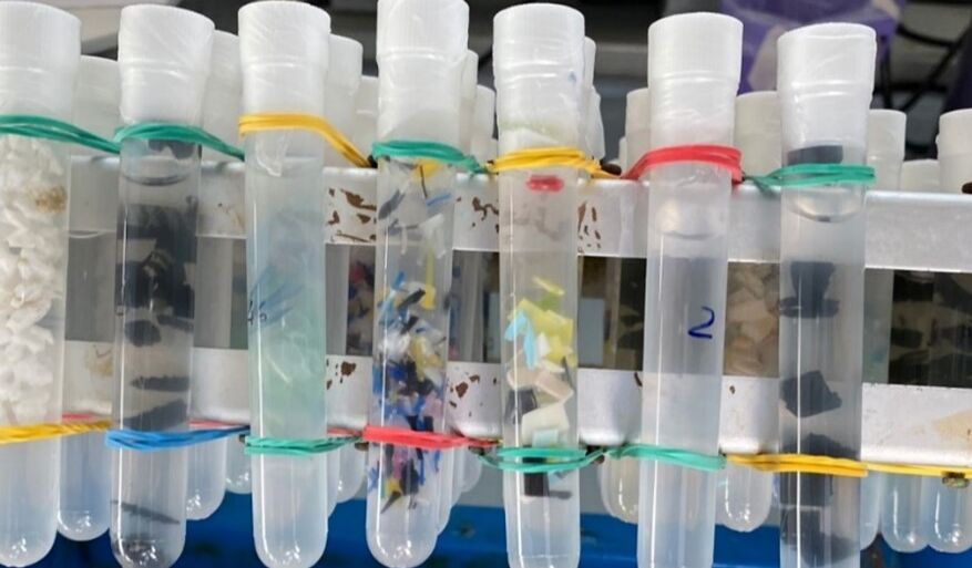 L'analisi delle plastiche in laboratorio