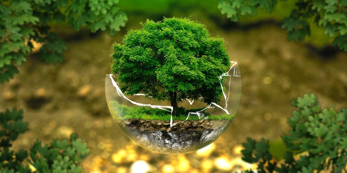 bio-co2 trapping bio-co2 trapping