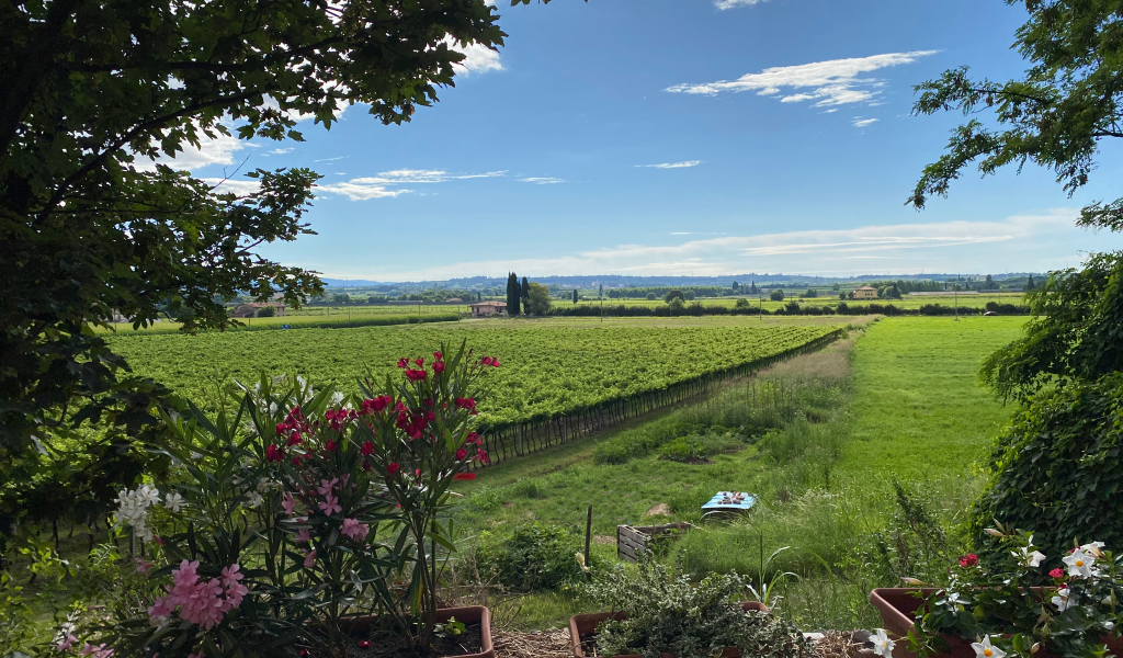 L'azienda agricola La Pesenata