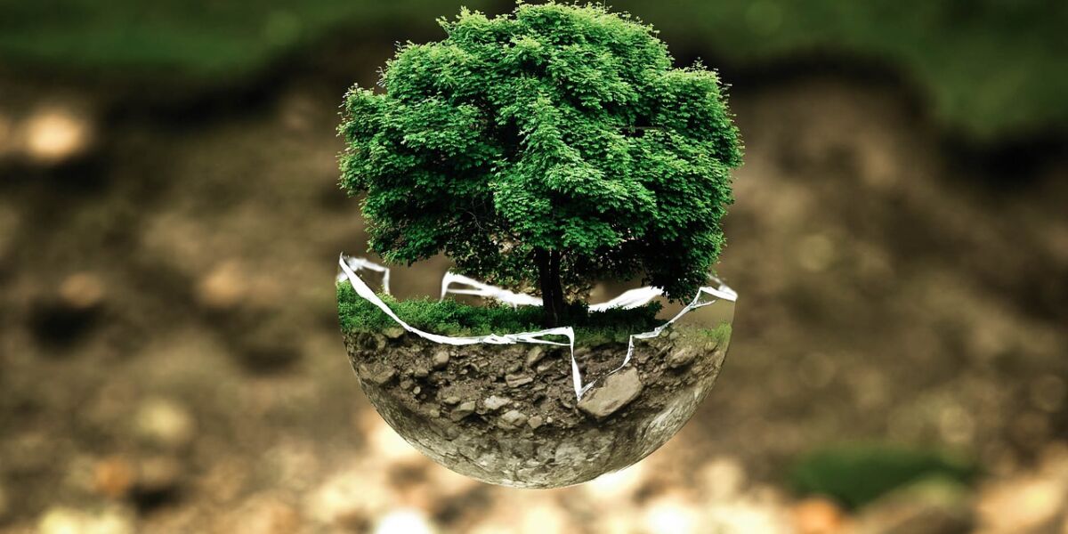 environmental-protection-683437_1280 environmental-protection-683437_1280