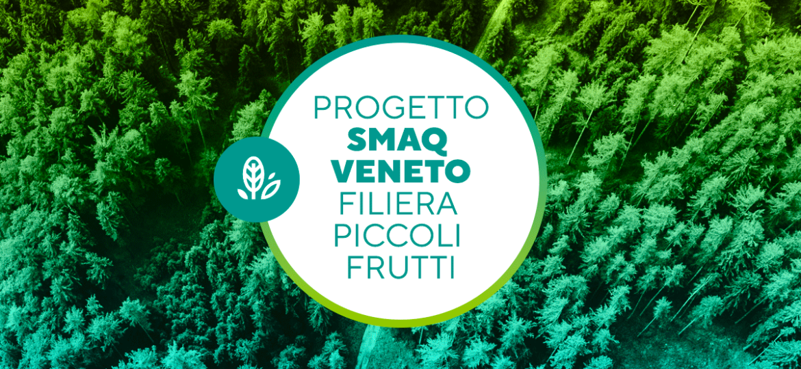 BANDO_SMAQ-VENETO_web