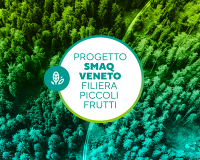 BANDO_SMAQ-VENETO_web