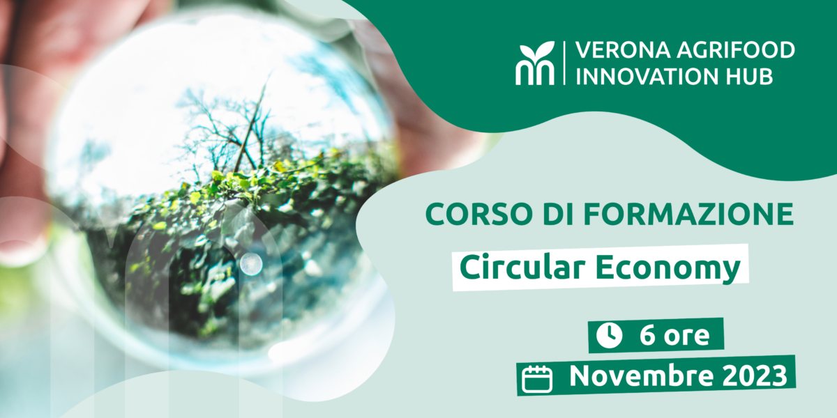 Circular Economy - Copertina