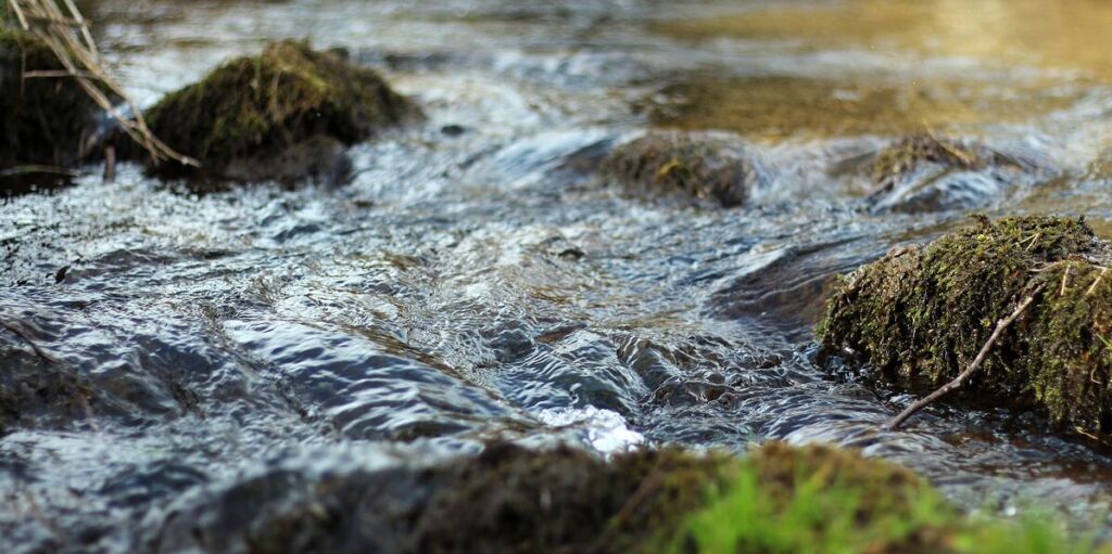 Il progetto dell’istituto comprensivo di Asola (Mantova) celebra il primo anno di vita con uno doppio appuntamento dedicato alla valorizzazione dell’ecosistema fluviale