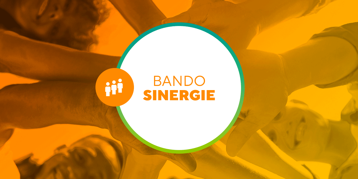 Bando_SINERGIE_web