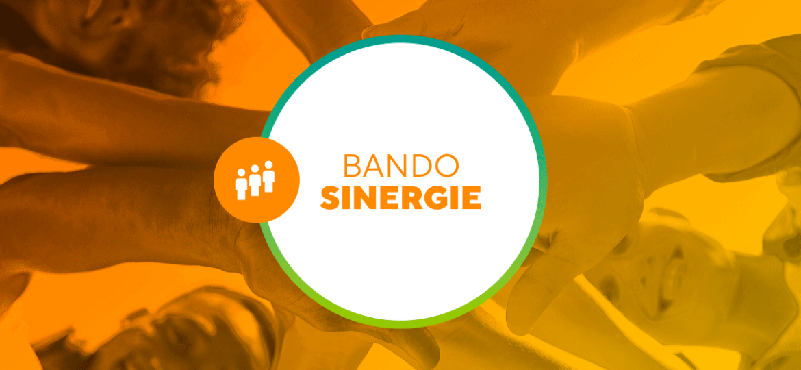 Bando_SINERGIE_web