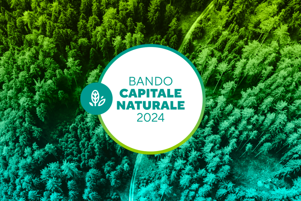 BANDO CAPITALE NATURALE 2024