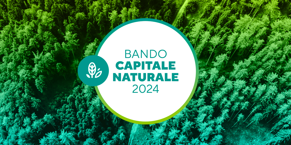 BANDO_CAPITALE_NATURALE_2024_web BANDO_CAPITALE_NATURALE_2024_web