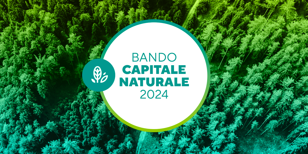 BANDO_CAPITALE_NATURALE_2024_web