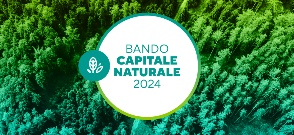 BANDO_CAPITALE_NATURALE_2024_web