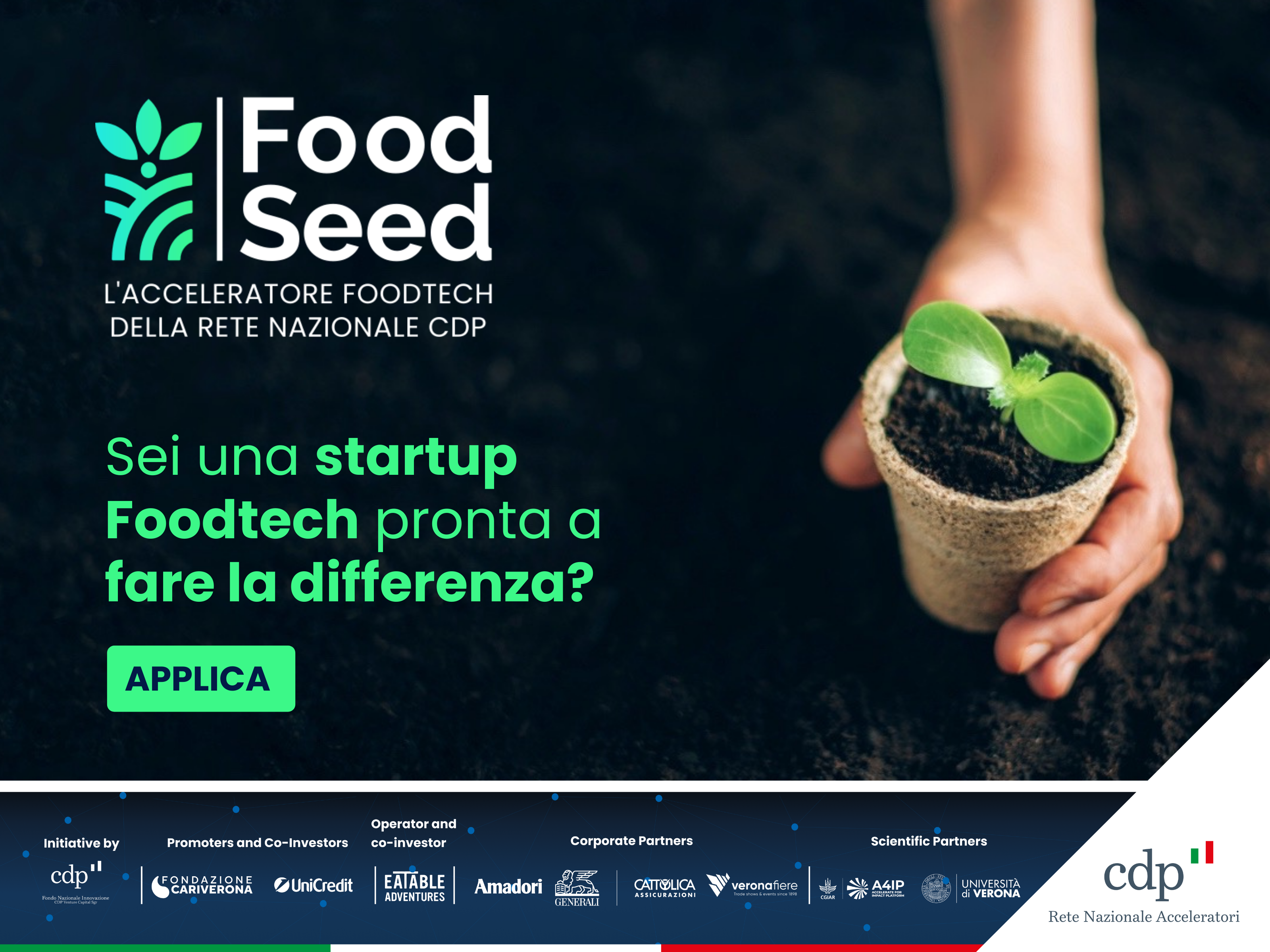 FoodSeed 2024