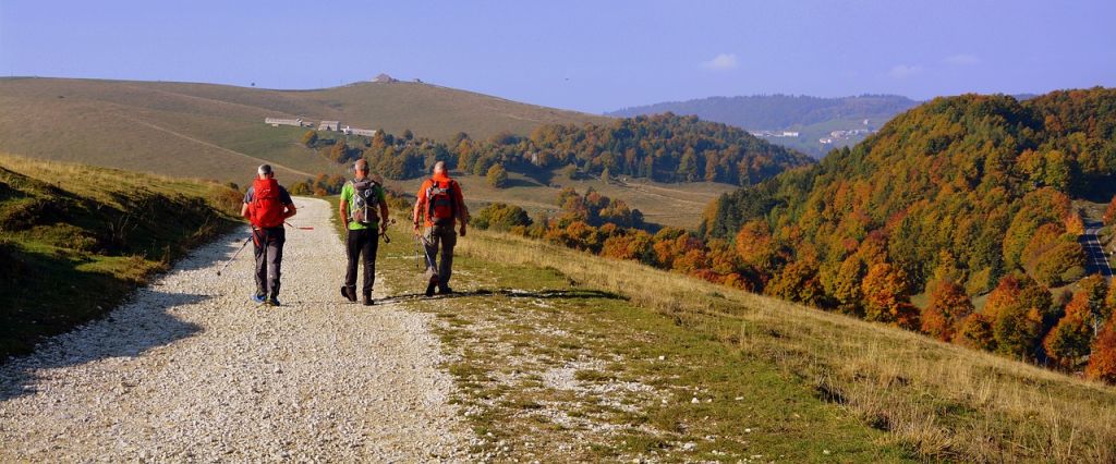 Al via ad aprile, a Bosco Chiesanuova (Verona), un corso di formazione per giovani operatori culturali e ambientali interessati a conoscere il territorio per immaginarne un nuovo sviluppo