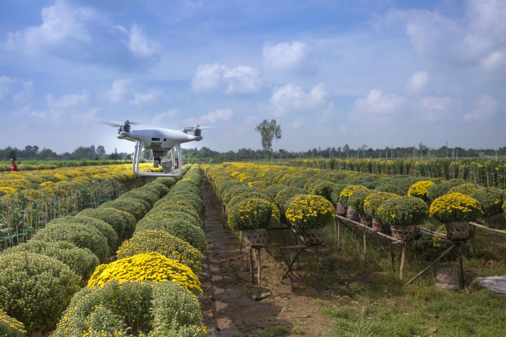 Il 18 giugno inizia il nuovo corso di formazione organizzato dal Verona Agrifood Innovation Hub per esplorare l’impatto delle nuove tecnologie sul settore agroalimentare