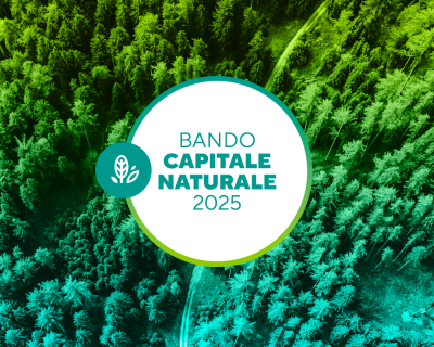 BANDO_CAPITALE_NATURALE_2025_web