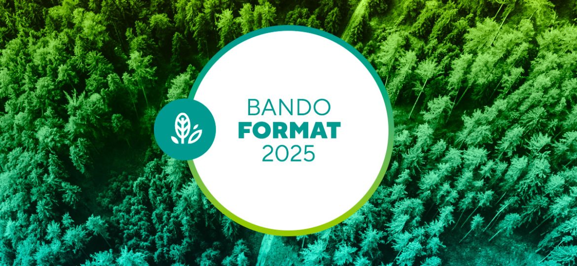 BANDO_FORMAT_2025_web
