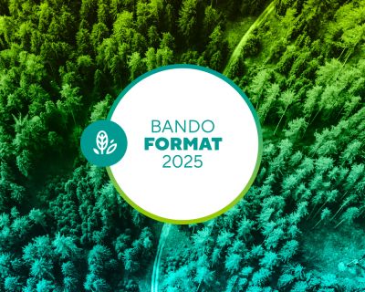 BANDO_FORMAT_2025_web