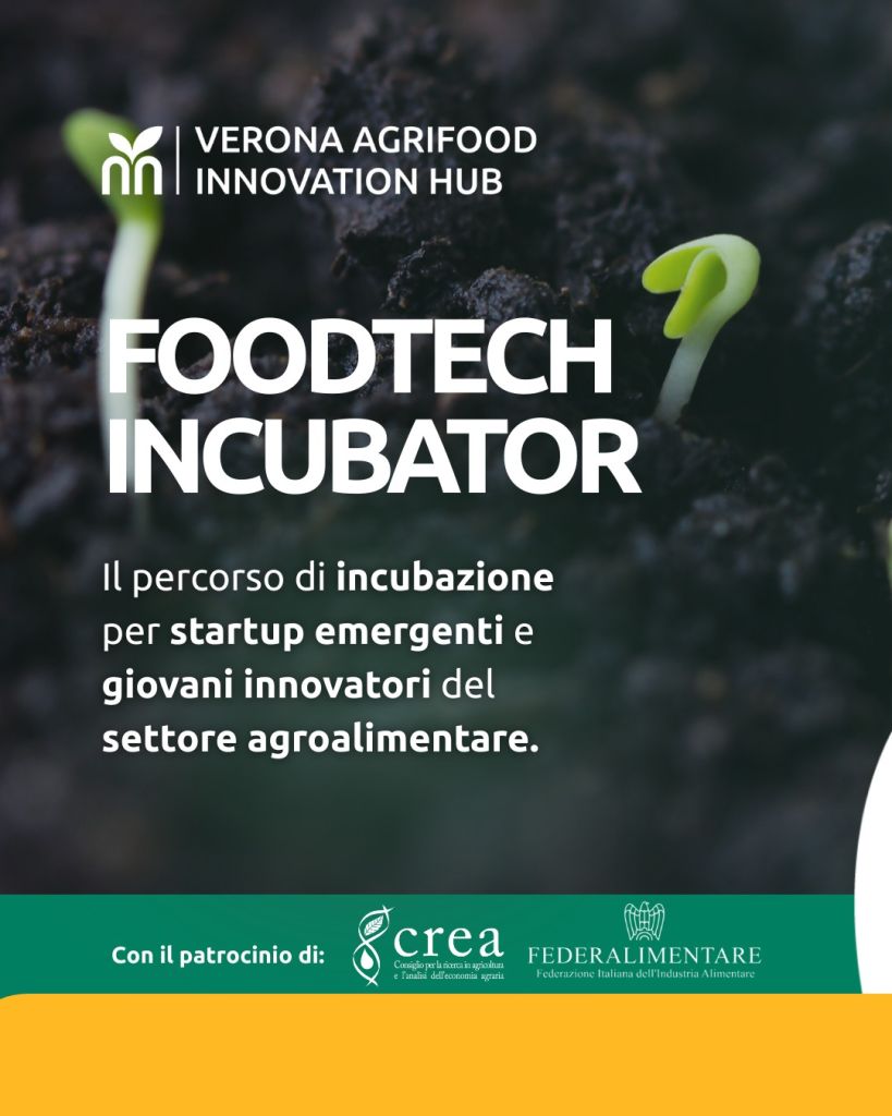Al via la call per il nuovo programma del Verona Agrifood Innovation Hub che trasforma ricerca e tecnologie in soluzioni concrete per filiere più sostenibili e competitive
