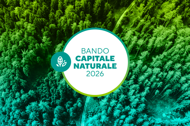 BANDO CAPITALE NATURALE 2026
