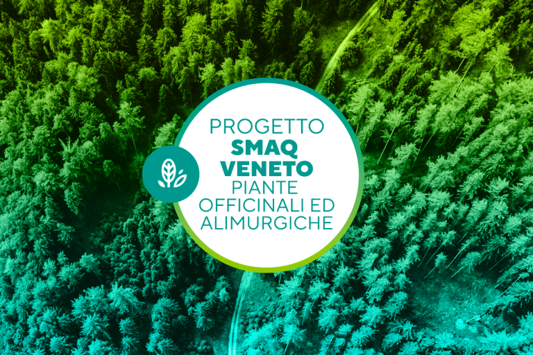 SMAQ VENETO – PIANTE OFFICINALI ED ALIMURGICHE