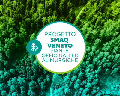 SMAQ_VENETO_2026_web