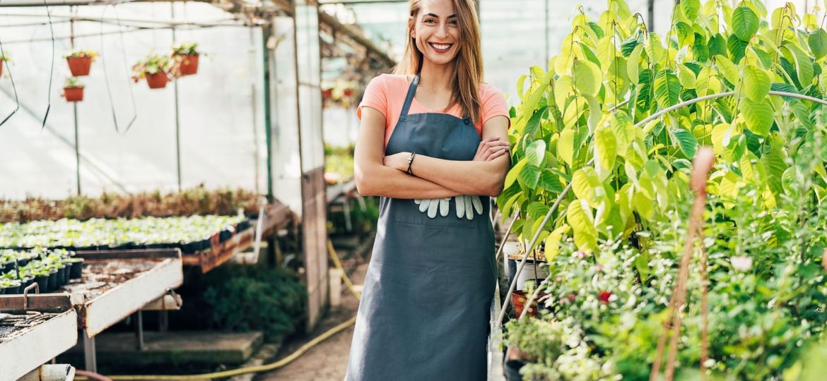 immagini NL (1)