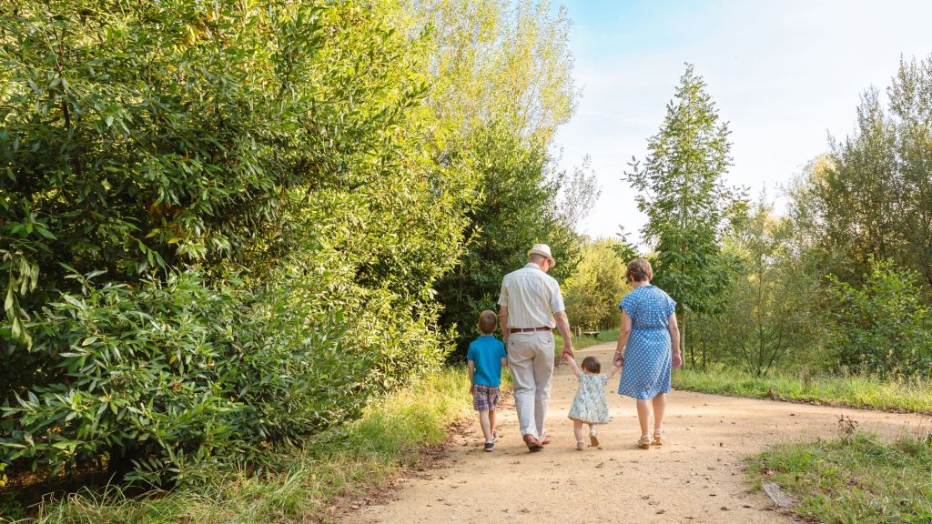 La Fondazione assegna le risorse del bando Capitale naturale 2026: foreste urbane, depavimentazione, zone umide, risorgive e habitat alpini nelle province di Verona, Vicenza, Belluno, Mantova e Ancona. L’obiettivo è rafforzare la capacità dei territori di affrontare caldo, eventi estremi e perdita di biodiversitÃ